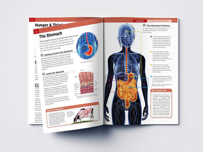 Human Body Box Set Knowledge Encyclopedia For Children [Paperback]