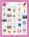 Junior Picture Dictionary by Dreamland Publications [Paperback]