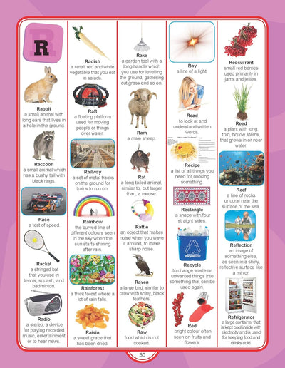 Junior Picture Dictionary by Dreamland Publications [Paperback]