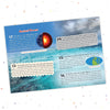 500 Facts Ocean World by Team Pegasus [Hardcover]