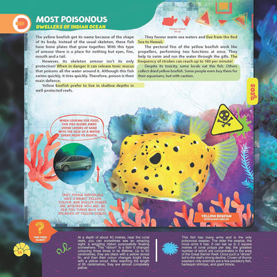 Secrets of the Oceans WOW Children Encyclopedia in Augmented Reality [Paperback]