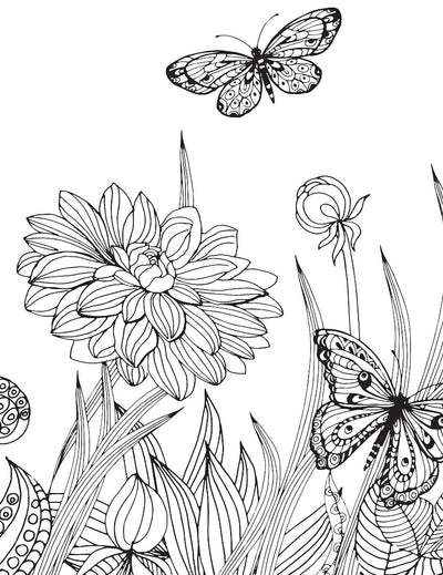 Flowers- Colouring Book For Adults [Paperback]