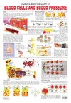 Blood Cells & Blood Pressure Wall Chart [Paperback]