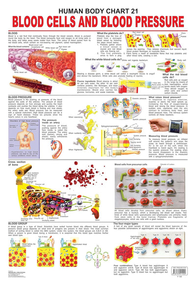 Blood Cells & Blood Pressure Wall Chart [Paperback]