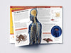 Human Body Box Set Knowledge Encyclopedia For Children [Paperback]