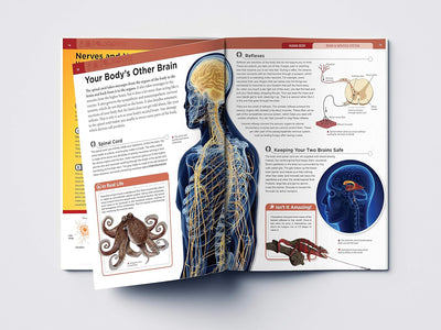 Human Body Box Set Knowledge Encyclopedia For Children [Paperback]
