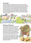 Story books : 365 Tales From Islam by Ziya Us Salam [Hardcover]