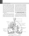 YOGA TEACHER by DR. Y D GHARANA [Paperback] Hindi Edition