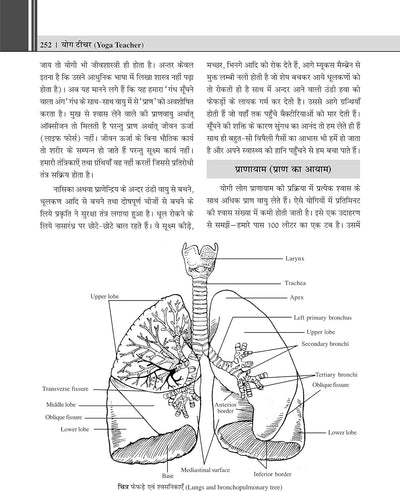 YOGA TEACHER by DR. Y D GHARANA [Paperback] Hindi Edition