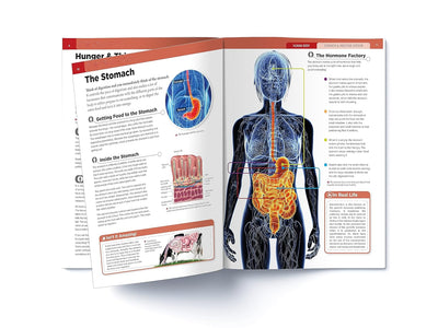 Human Body Box Set Knowledge Encyclopedia For Children [Paperback]