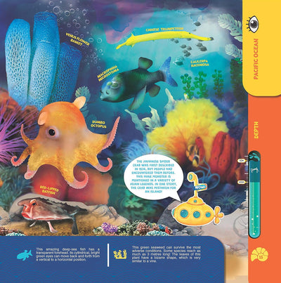 Secrets of the Oceans WOW Children Encyclopedia in Augmented Reality [Paperback]