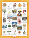 Junior Picture Dictionary by Dreamland Publications [Paperback]