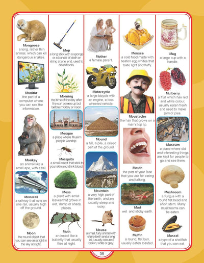 Junior Picture Dictionary by Dreamland Publications [Paperback]