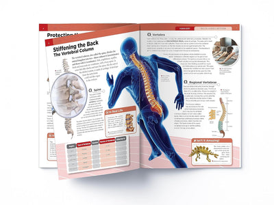 Human Body Box Set Knowledge Encyclopedia For Children [Paperback]