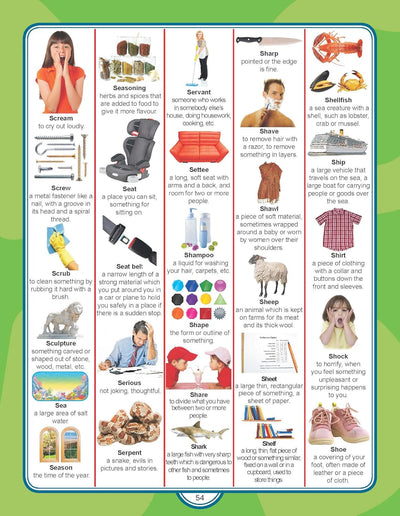 Junior Picture Dictionary by Dreamland Publications [Paperback]