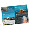 500 Facts Ocean World by Team Pegasus [Hardcover]