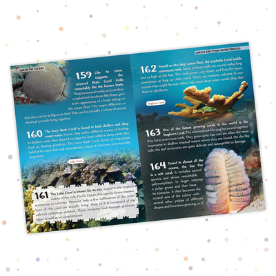 500 Facts Ocean World by Team Pegasus [Hardcover]