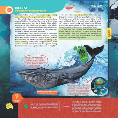 Secrets of the Oceans WOW Children Encyclopedia in Augmented Reality [Paperback]
