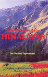 Wanderings in the Himalayas by Swami Tapovan Maharaj [Paperback]