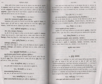 Sanskrit Vyakarana Evam Laghusiddhanta Kaumudi by KAPILDEV DWIVEDI [Paperback] Hindi Edition