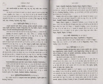 Sanskrit Vyakarana Evam Laghusiddhanta Kaumudi by KAPILDEV DWIVEDI [Paperback] Hindi Edition